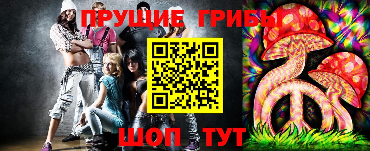 Галлюциногенные грибы прущие грибы  Псилоцибиновые грибы мицелий  Чита  Вход с VPN 